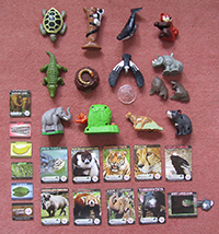 Endangered animals